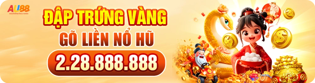 Quyền Lợi Người Dùng Tại MM88